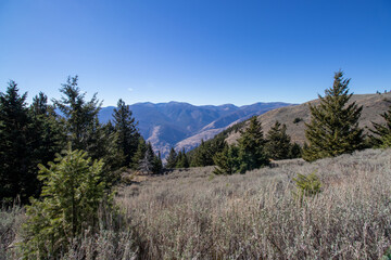 Obraz premium view from Mt Kobau in British Columbia