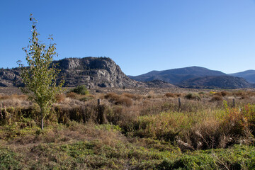 View of mountains and desert field in Osoyoos
