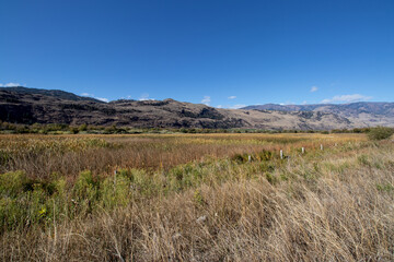 The Osoyoos Oxbows wetlands in British Columbia