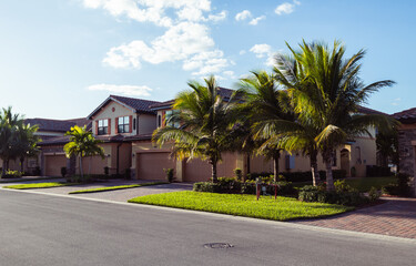 Fototapeta na wymiar palm trees, Florida golf community neighborhood background