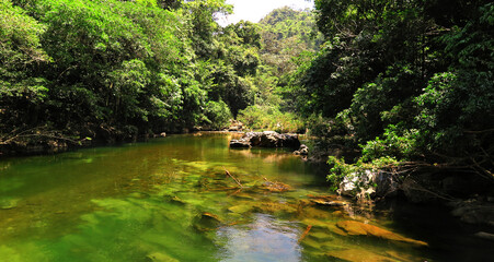 Bosque Tropical