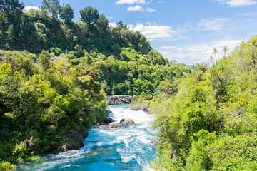 Fototapeta na wymiar Bush clad Waikato River at place of Arariatia Rapids