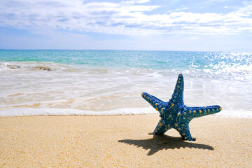Starfish and Wave water sea blue amazing on islands in the world