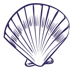 Clam sketch. Closed seashell in hand drawn style