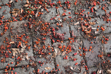 Crushed berries on street road . top view