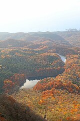 Fototapeta premium 秋の白神山地 十二湖と日本海