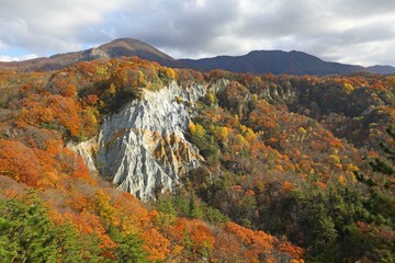 秋の白神山地　日本キャニオン