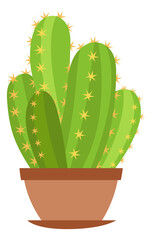 Green room cactus. Cute succulent in clay pot