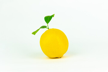 Lemon fruit with leaf on white background, citrus minimal concept, vitamin C.