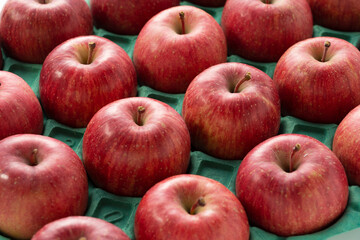 Apples neatly laid out in a paper case.