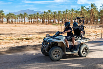 Fototapeta na wymiar Countryside road among plantations of date palms, motorized sport vehicle riding among desert areas, special photographic effect using the technique of panning to emphasize speed of the motorbike 