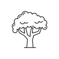 Tropical jungle forest tree with shades crown isolated thin line icon. Vector exotic plant, garden decor element, hand drawn tree spring or summer object. Landscape architecture environment protection
