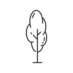 Jungle or beach tree, abstract forest plant isolated thin line icon. Vector botanical spring or summer decorative environment object, landscape and garden architecture, ecology and save nature symbol