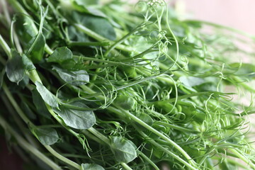 pea micro green extreame close up view