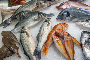 Different kinds of fresh fish at a market stall in Lisbon, Portugal
