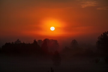 Spring Field Meadow Road Under Sunset Sunbeams At Dawn Or Sunrise