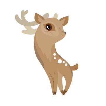 Cute animal reindeer. Little brown deer. Funny character isolated on white background.  Winter illustration for children and adults.