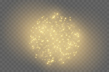 Snowflake on an isolated background. Christmas snow. Vector image.