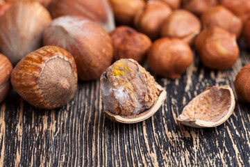 split hazelnuts on the table