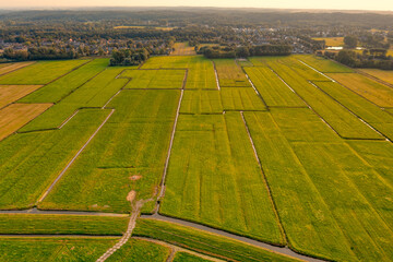 Ditches and grass lands near the village of Schoorl, The Netherlands.