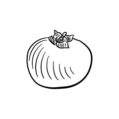 persimmon, vector drawing sketch of fruit isolated at white background, hand drawn illustration