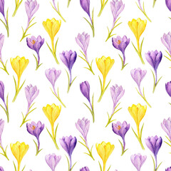 watercolor drawing spring seamless pattern with flowers of yellow and lilac crocuses at white background