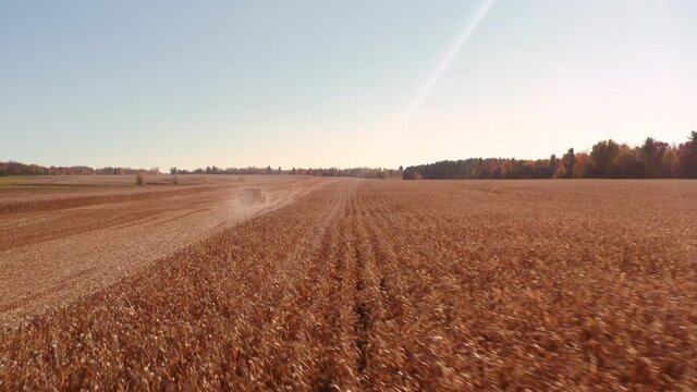 4K AERIAL FOOTAGE OF COMBINE OPERATION WITH SUPPORTING TRACTORS REAPING WEATH IN QUEBEC CANADA