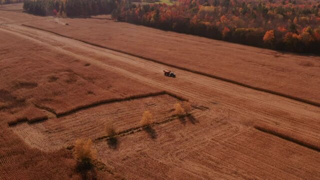 4K AERIAL FOOTAGE OF COMBINE OPERATION WITH SUPPORTING TRACTORS REAPING WEATH IN QUEBEC CANADA