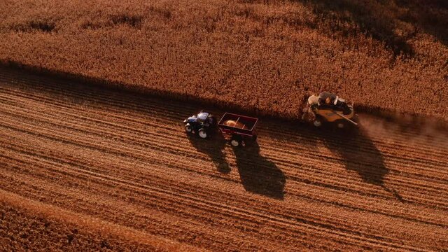 4K AERIAL FOOTAGE OF COMBINE OPERATION WITH SUPPORTING TRACTORS REAPING WEATH IN QUEBEC CANADA