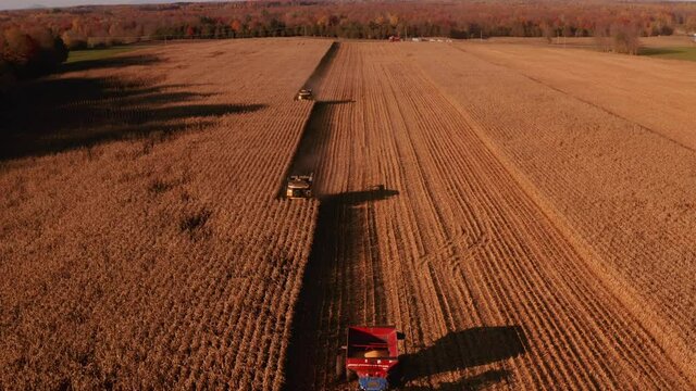 4K AERIAL FOOTAGE OF COMBINE OPERATION WITH SUPPORTING TRACTORS REAPING WEATH IN QUEBEC CANADA
