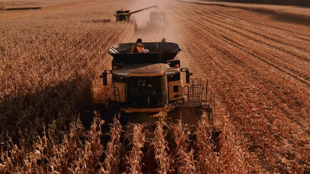 4K AERIAL FOOTAGE OF COMBINE OPERATION WITH SUPPORTING TRACTORS REAPING WEATH IN QUEBEC CANADA