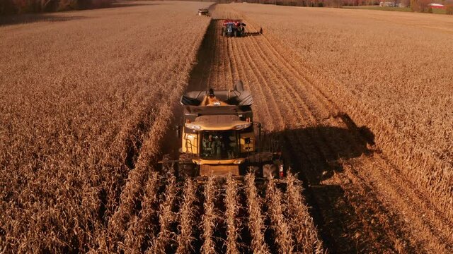 4K AERIAL FOOTAGE OF COMBINE OPERATION WITH SUPPORTING TRACTORS REAPING WEATH IN QUEBEC CANADA