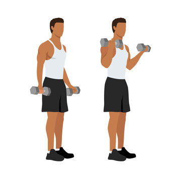 Man doing standing dumbbell bicep curls. Flat vector illustration isolated on different layers. Workout character
