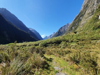 Fototapeta na wymiar Milford Track, MacKinnan Pass, Sutherland Falls, Te Anau, Milford Sounds, South Island, New Zealand