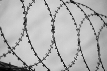 barbed wire fence, Black and white image