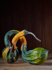 Variety of edible and decorative gourds and pumpkins. Autumn composition of different squash types...