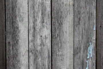 An old dry battered wooden fence with vertical gray boards background texture
