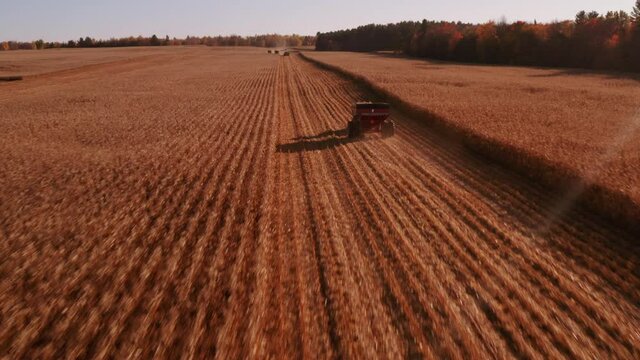 4K AERIAL FOOTAGE OF COMBINE OPERATION WITH SUPPORTING TRACTORS REAPING WEATH IN QUEBEC CANADA