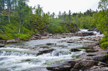 Mountain river with rocks and waterfalls in the forest in Norway