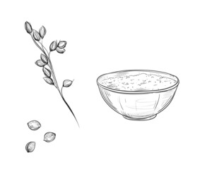 Hand drawn sketch black and white set of millet, grain, leaf. Vector illustration. Elements in graphic style label, card, sticker, menu, package. Engraved style illustration.