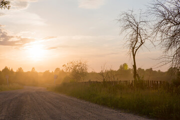 Fototapeta na wymiar sunset country dusty road in spring panorama. Beautiful blue sky, white clouds, haze, naked trees, green grass.