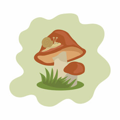 Mushroom illustration. Mushrooms with snail.