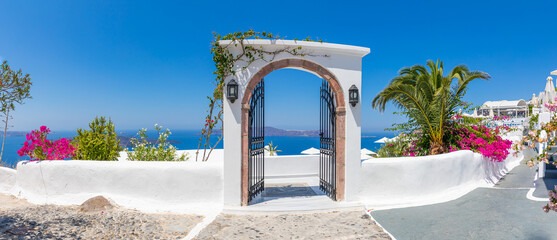 Entrance of a typical White cycladic architecture, house with blue door and blooming pink...