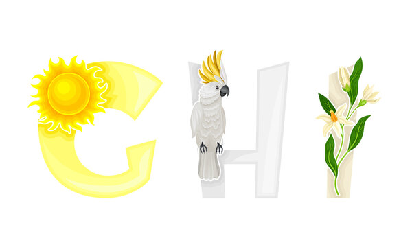 G,H,I letters of English alphabet with exotic flowers, sun amd palm leaves vector illustration