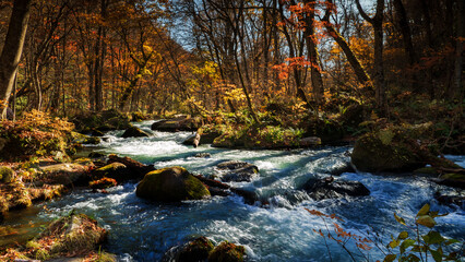 Oirase Stream (Oirase Keiryū) is a picturesque mountain stream in Aomori Prefecture that is one of Japan's most famous and popular autumn colors destinations