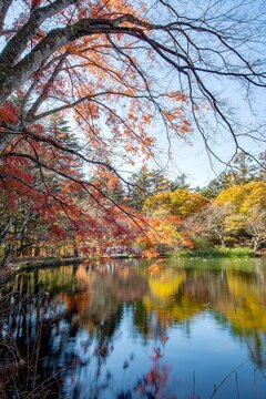 The autumn leaves of Karuizawa Cloud Field Pond, Japan