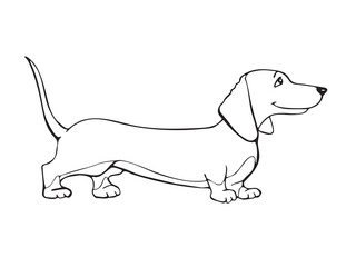 Dachshund, basset hound, beagle, pet. Silhouette of the cute dog in cartoon style. Vector illustration isolated on white background. Outline freehand drawn. Coloring page book