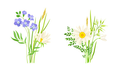 Set of summer blooming wildflowers set. Beautiful bouquets of meadow flowers, botanical natural floral design vector illustration