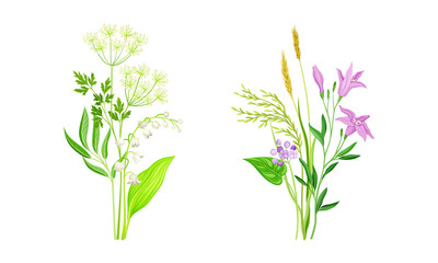 Set of summer blooming wildflowers and grass set. Beautiful bouquets of meadow flowers, lily of the valley, lily vector illustration