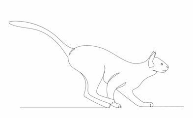 cat, continuous line drawing, sketch, vector